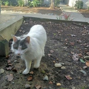 Meet your Posher, Khin